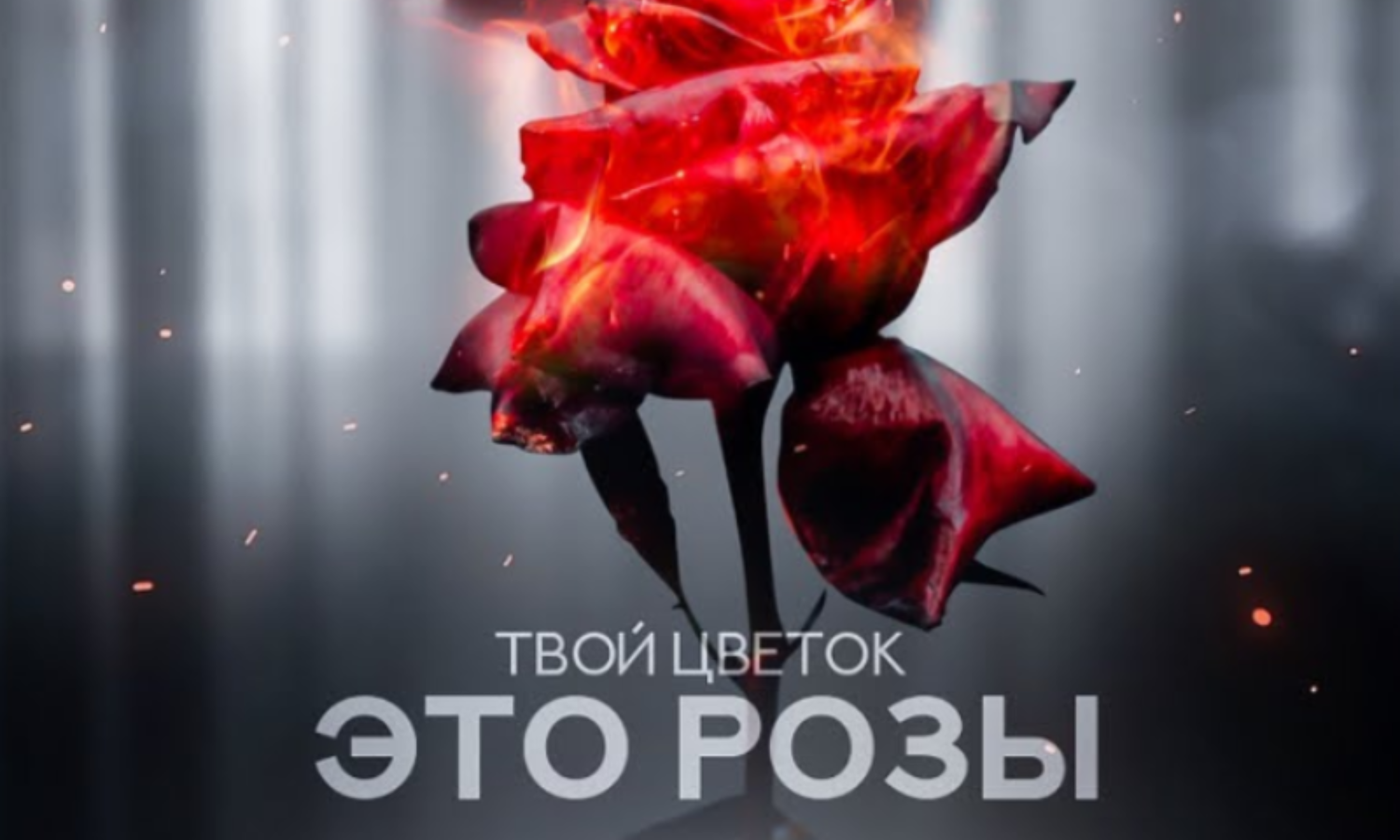 Твой цветок это розы